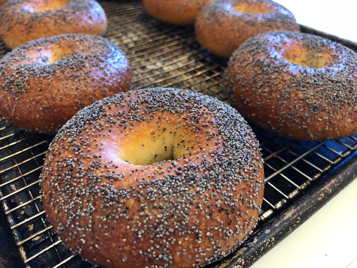 Crusty Alkaline Bagels