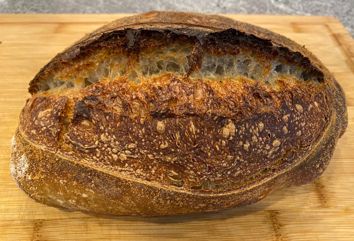 Bolted Wheat Sourdough