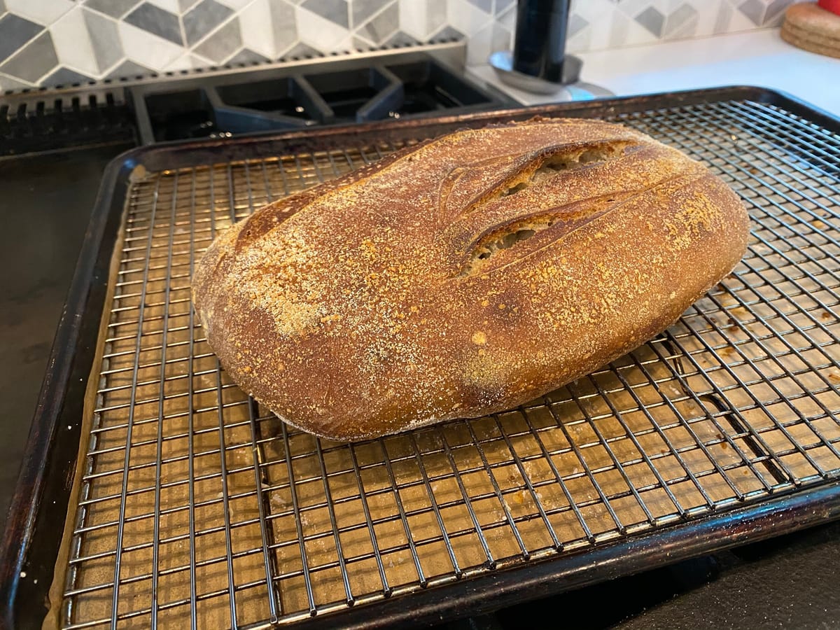 20% Buckwheat Sourdough
