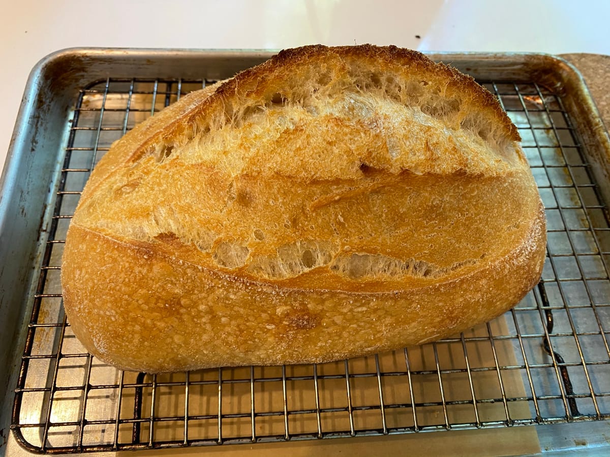 Sourdough's Slow Recovery