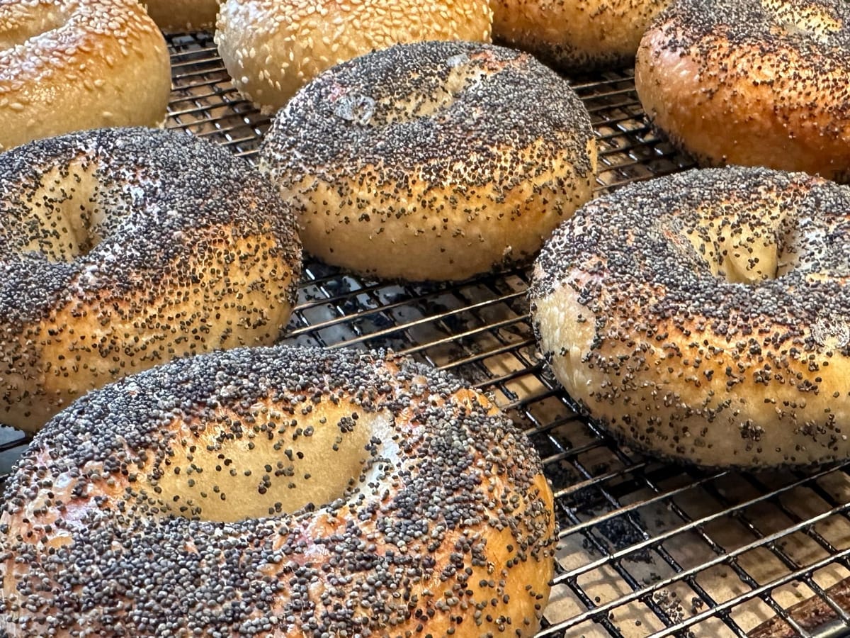 The Best Homemade Bagels