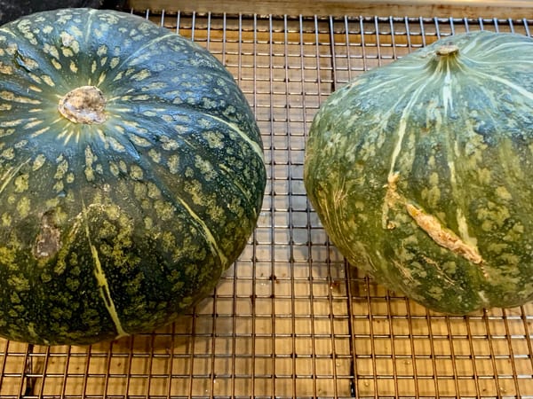 Kabocha: discovering a Japanese treasure