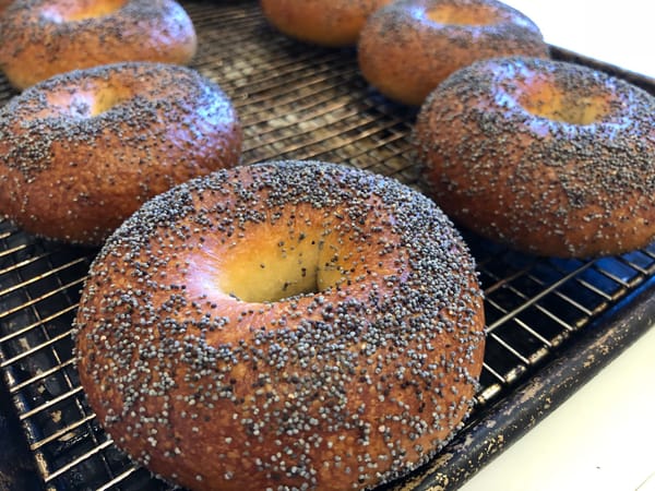 Crusty Alkaline Bagels